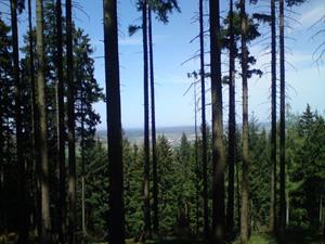 Blick von der Loipe oberhalb des Hessenparks auf Neu-Anspach