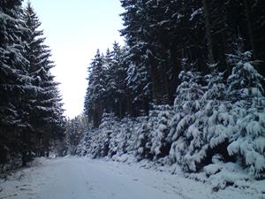 Winterlandschaft auf dem Langhals