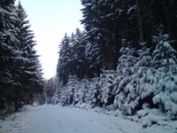 Winterlandschaft auf dem Langhals